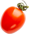 Tomate 3
